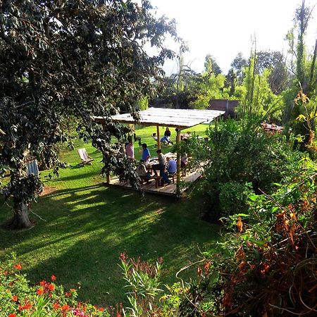 Bed and Breakfast La Casa Del Tilo Hacienda Santa Rosa Exteriér fotografie