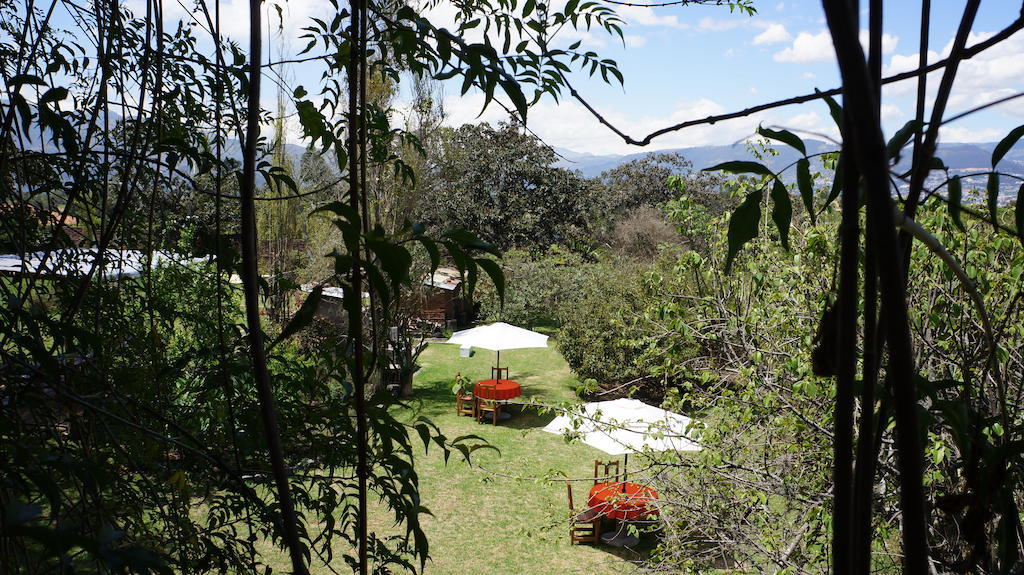 Bed and Breakfast La Casa Del Tilo Hacienda Santa Rosa Exteriér fotografie